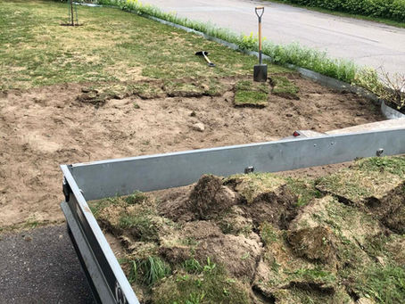 Sommaren 2024 – året då framsidan fick ett helt nytt liv