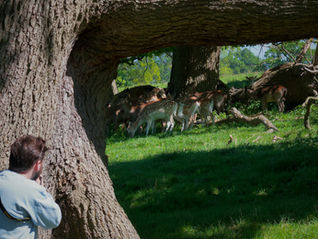 Yorkshire photography 