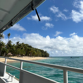 Snorkelling with sharks - no cages involved, and racing crabs!
