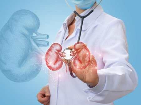 What Does A Urology Doctor Do?