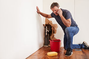 shutterstock_761803549.jpg