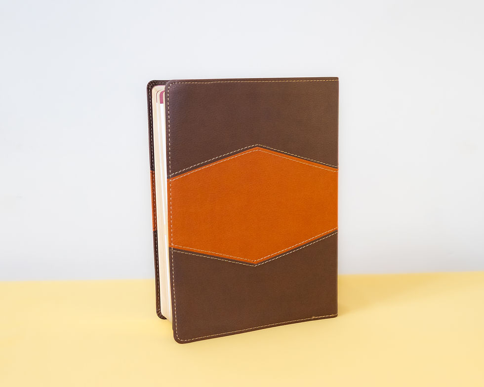 Thumbnail: Biblia de Estudio Holman – Reina-Valera 1960, a Todo Color