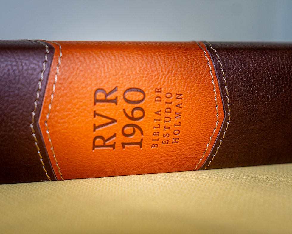 Thumbnail: Biblia de Estudio Holman – Reina-Valera 1960, a Todo Color