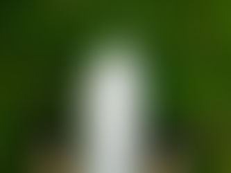 Pantofii Lucrătorului de Tineret