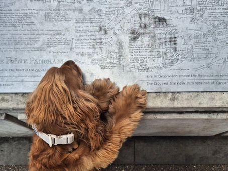 Bea & Copper vs the Seasons' argument