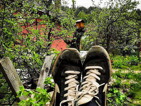 Căsuța pentru Păsărele 