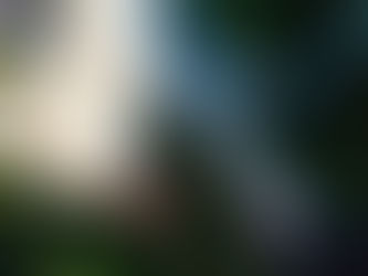 O zi cu prietenii mei din Woofwich