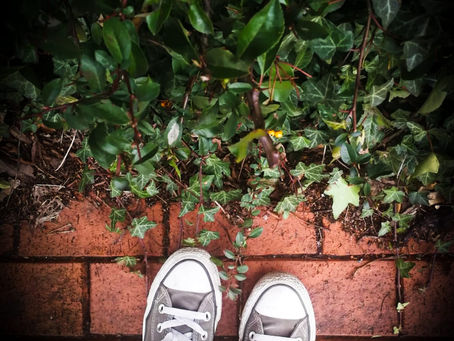 Însorit, înnorat, însorit, noapte