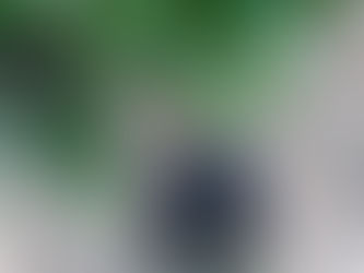 Rocking Around the Christmas Tree*