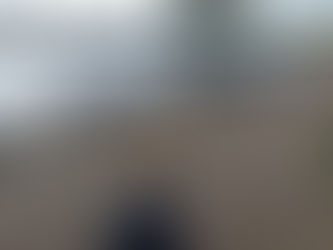 Visiting some feathered friends