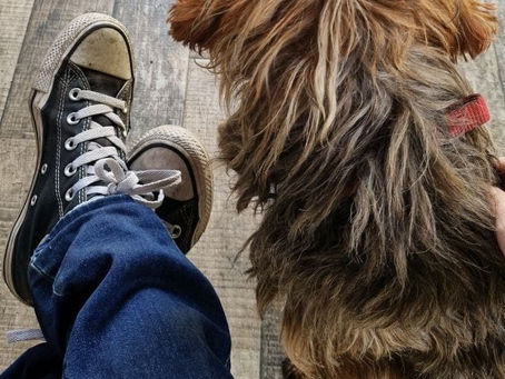 Finally meeting Viva