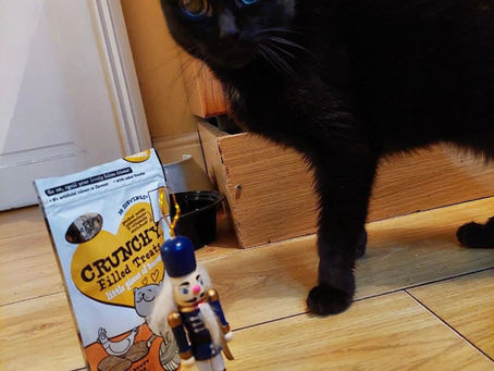 21. ‘Reginald’s Christmas Revel’ by Saki