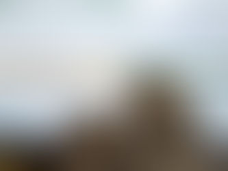 A very tired and tiresome Monday