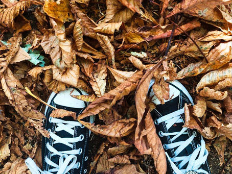 Crunchy Leaves in Greenwich Park