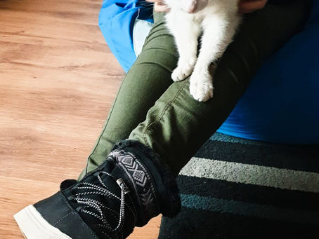 You’re a Mean One, Miss Deisy*