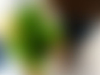 Mentă de Valentine’s