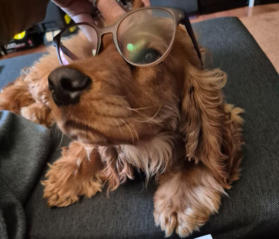 Poza scriitorului: Copper K