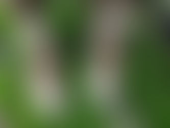 Ready for the Autumn