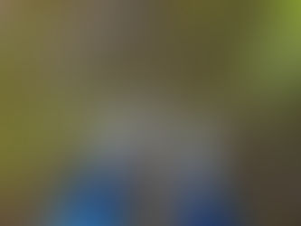 O Plimbare prin Woolwich