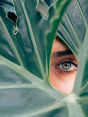 Planting the Seed for Women in the Climate Conversation