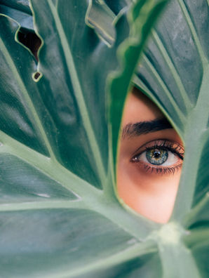 Planting the Seed for Women in the Climate Conversation