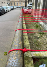 IMG_3559.jpeg