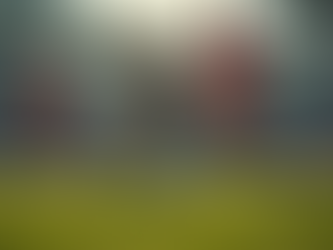 Sports Photography: Capturing the Spirit of Rugby