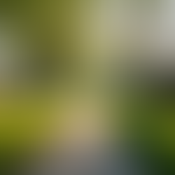 How Federal Rate Cuts Affect Kansas City Mortgages