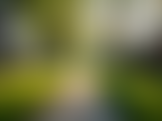 How Federal Rate Cuts Affect Kansas City Mortgages