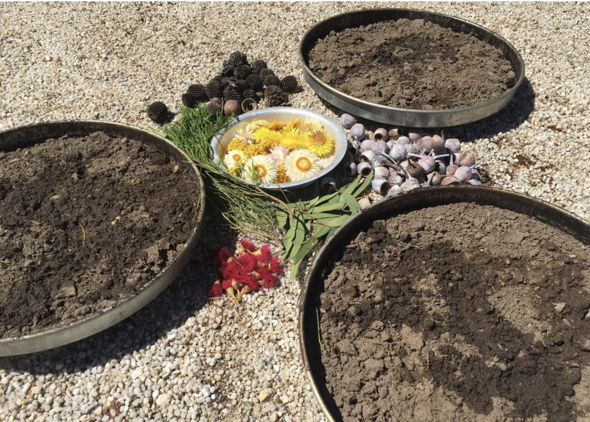 Screenshot 2025-05-21 at 12.18.14 PM.png