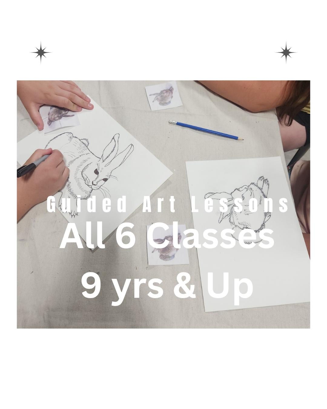 All 6 Guided Art Lessons 9 Years & Up