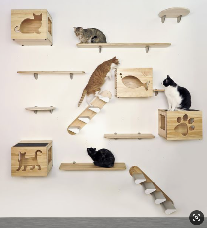 Arbre à chat mural