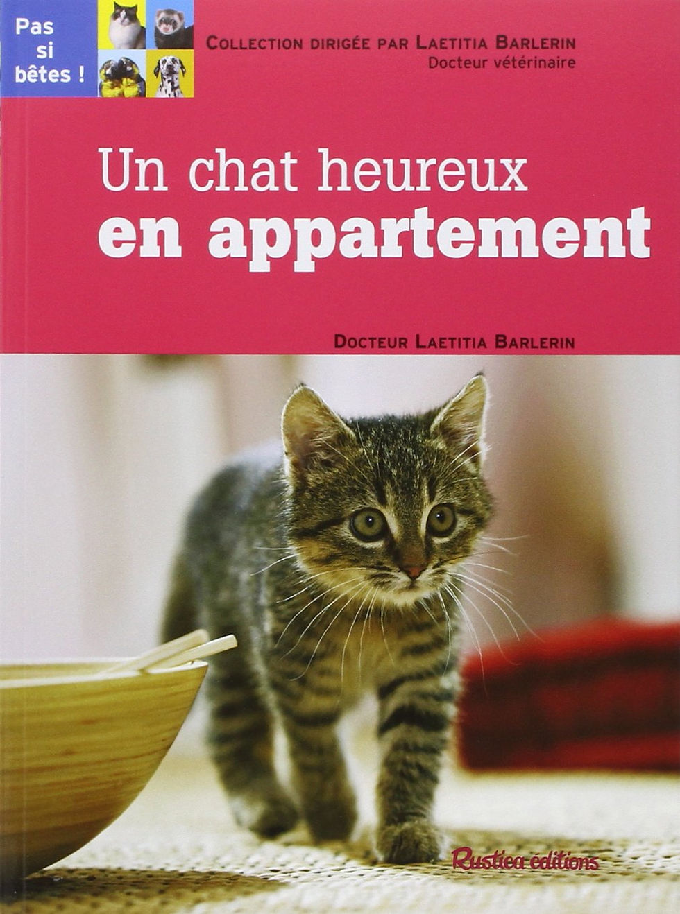 Un chat heureux en appartement