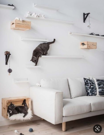 Arbre à chat mural