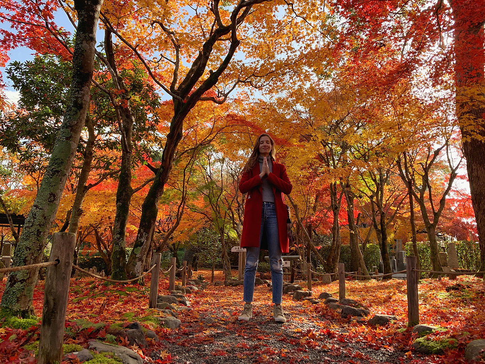 outono em kyoto