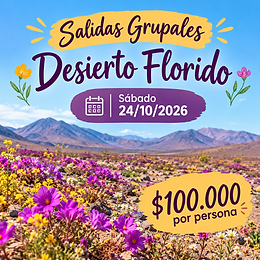 Cartel del Desierto Florido.png