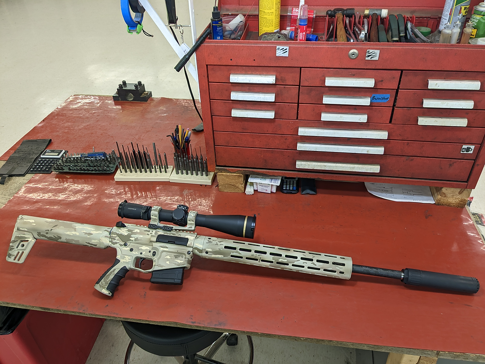 243 Win AR10