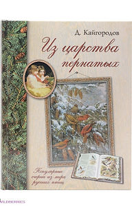 image2.jpeg