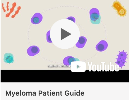 Myeloma Patient Guide