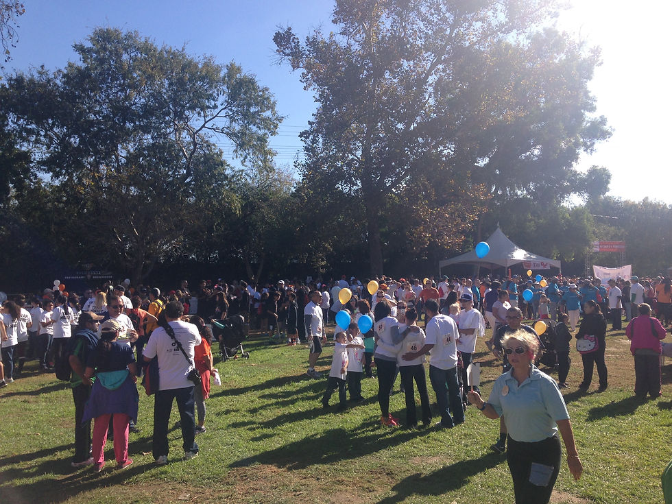 Kidney Walk 2015