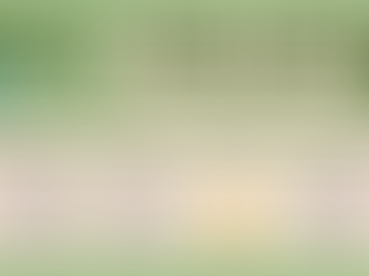 2024 Spring Term Scholarship Recipients