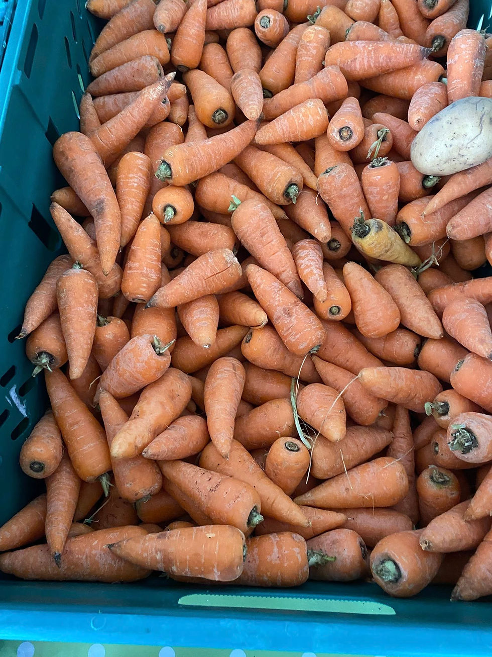 Make a date with Fare Share