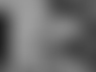 DOVERI DELL'IMPRENDITORE IN CRISI: IL TRIBUNALE RIBADISCE I LIMITI DELLA GESTIONE AZIENDALE