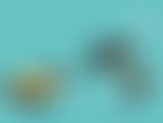 ROTTAMAZIONE QUATER RINVIATA PER LE ZONE ALLUVIONATE