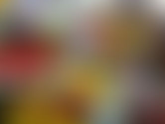 CHRISTINE LAGARDE AL MERCATO DI SANT’AMBROGIO A FIRENZE: “I PREZZI DEL CIBO SONO ANCORA ALTI, MA STANNO CALANDO” — REAZIONI CRITICHE DAL MONDO AGRICOLO