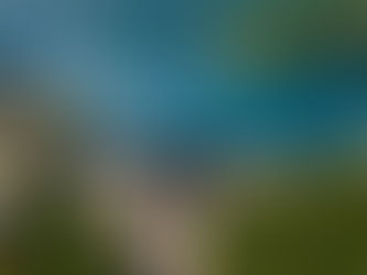 IDROELETTRICO SETTORE STRATEGICO PER L'ITALIA