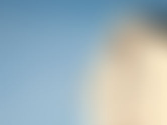 AGEVOLAZIONE PRIMA CASA E SOLIDARIETA' TRA COMPROPRIETARI