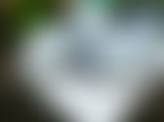 TRATTAMENTO FISCALE DELLA RINUNCIA AI DIVIDENDI