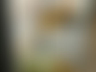 ITALIA SPRECONA: 372 EURO DI CIBO A TESTA SPRECATO OGNI ANNO