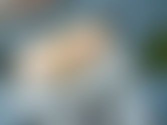 POS E REGISTRATORI TELEMATICI: IPOTESI SOGLIA DI TOLLERANZA PER EVITARE SANZIONI